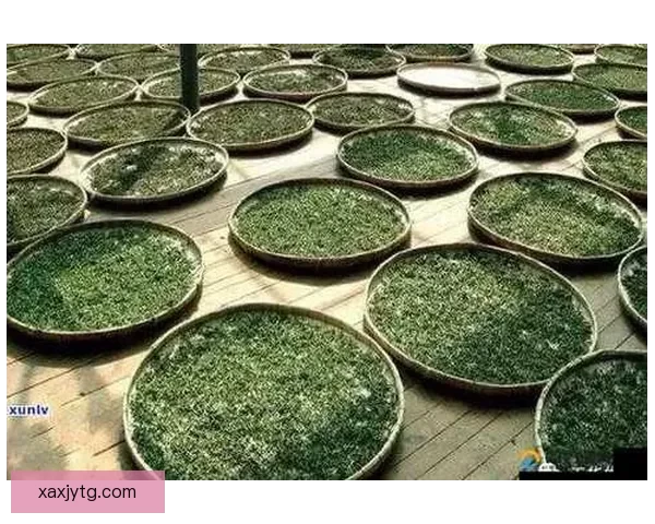 亚洲一线产区二线产区区别在哪儿？一文带你深度剖析！ 